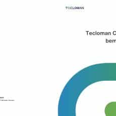 Introduction of C&I BESS in Belgium_Tecloman HU-_Oldal_01